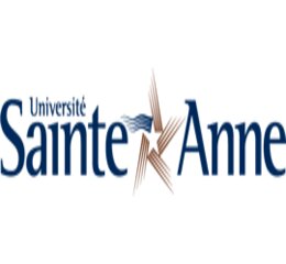 List of clients, supporters, partners or sponsors logos in your website.